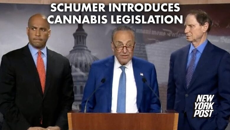 Schumer rolls out pot legalization bill despite Biden opposition | New York Post