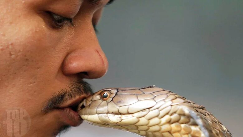 Terrifying Pets People Regretted Owning