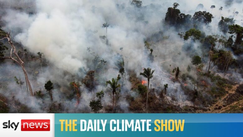 The Daily Climate Show: Fears raised over the Amazon basin