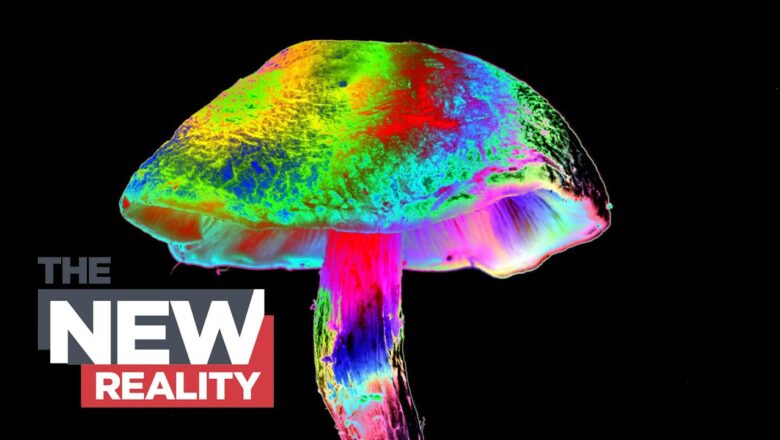 The Shroom Boom: How magic mushrooms are being used to treat mental health