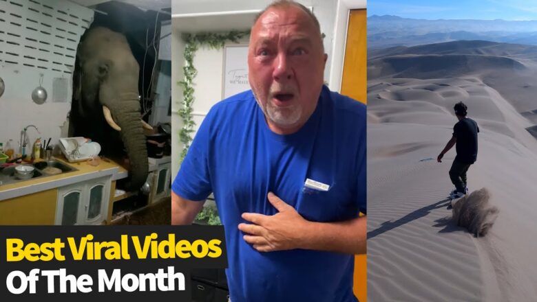 Top 25 Viral Videos Of The Month – June 2021