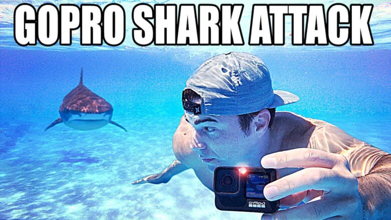 Why do Sharks Attack GoPros?