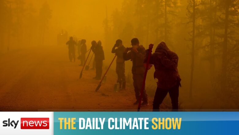 The Daily Climate Show: How much carbon do wildfires release?