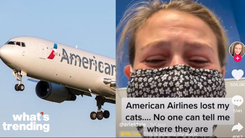TikTok Video Shows American Airlines Losing a Woman’s Two Cats On Flight