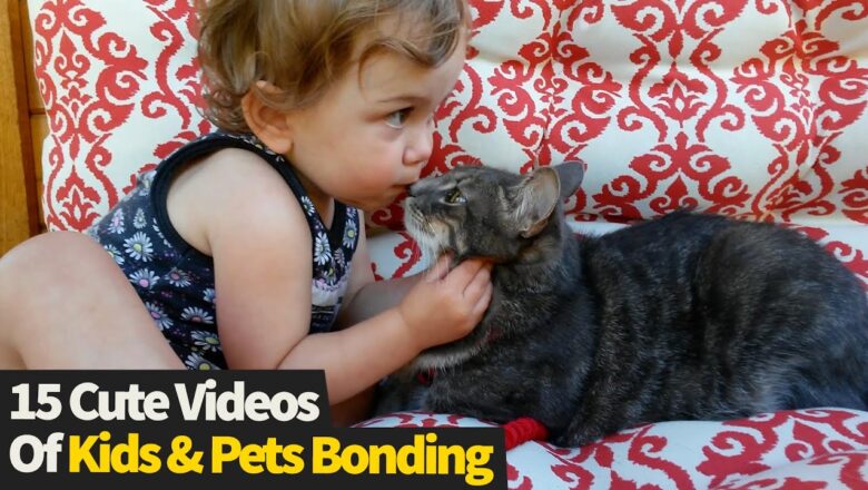 Top 15 Adorable Moments Of Kids Bonding With Their Pets