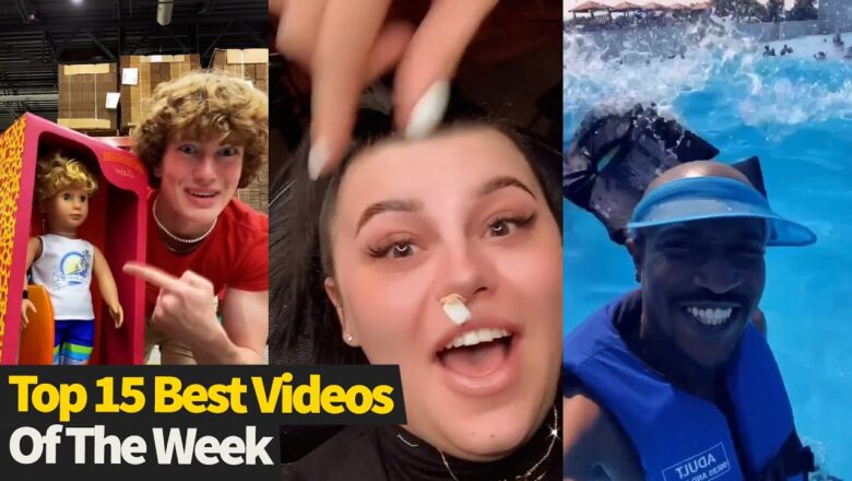 Top 15 Best Videos Of The Week #8