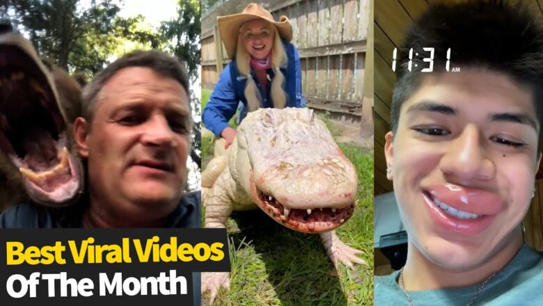 Top 25 BEST Viral Videos Of The Month – July 2021