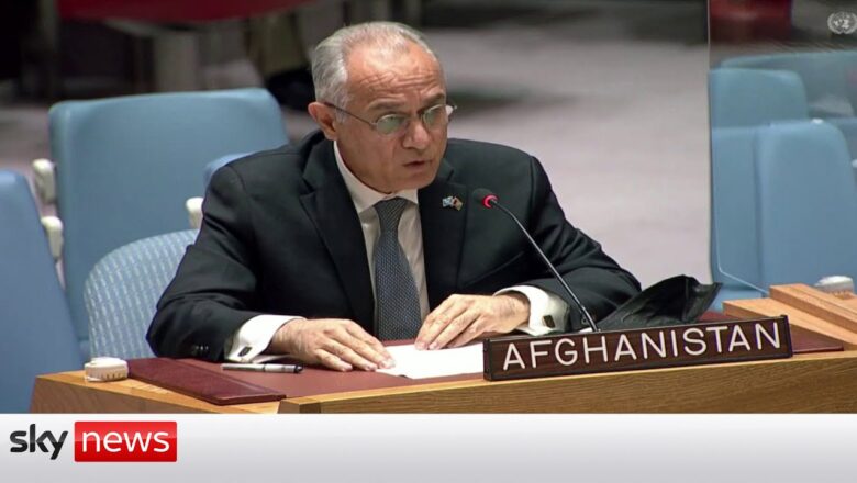 UN Afghanistan Representative calls for an ‘immediate cessation of violence’