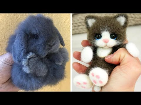AWW SO CUTE! Cutest baby animals Videos Compilation Cute moment of the Animals – Cutest Animals #8