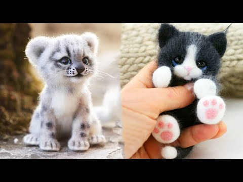 AWW SO CUTE! Cutest baby animals Videos Compilation Cute moment of the Animals – Cutest Animals #12