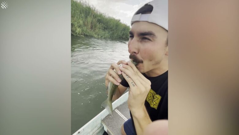 Bizarre moment man saves dying fish by performing CPR