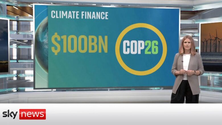 Climate finance: coal, cars, cash and trees