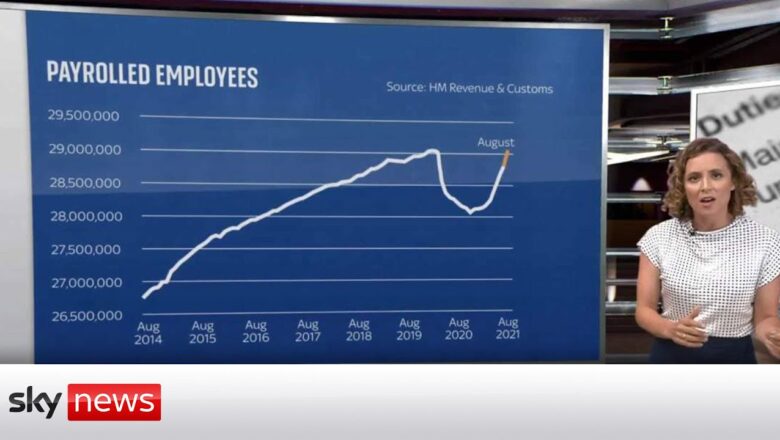 COVID: How has the job market changed?