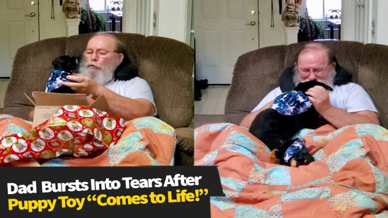 Dad Bursts Into Tears After Puppy Toy “Comes to Life”!