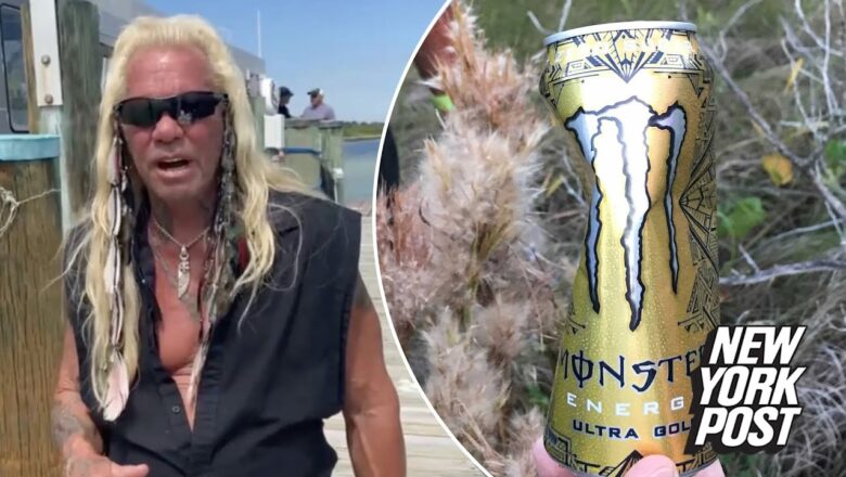 Dog the Bounty Hunter finds fresh campsite in Brian Laundrie search | New York Post