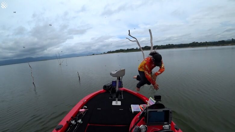 Fisherman jumps into water to escape hornet attack