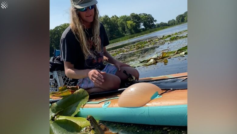 Funny moment as huge blister-like bubble forms on paddle board