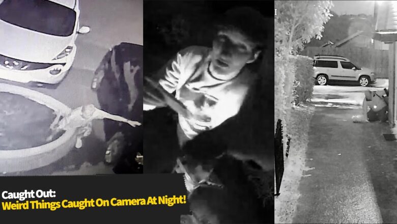 Top 10 STRANGEST Things Caught On CCTV At Night!