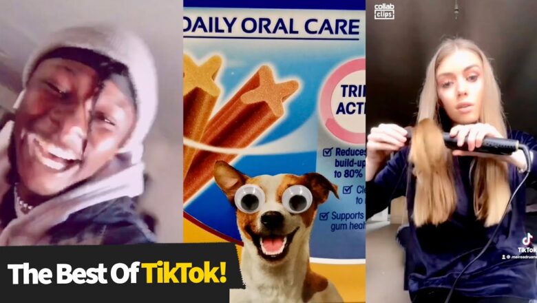 Top 18 BEST TikTok Moments (2021) | Funny Tik Toks