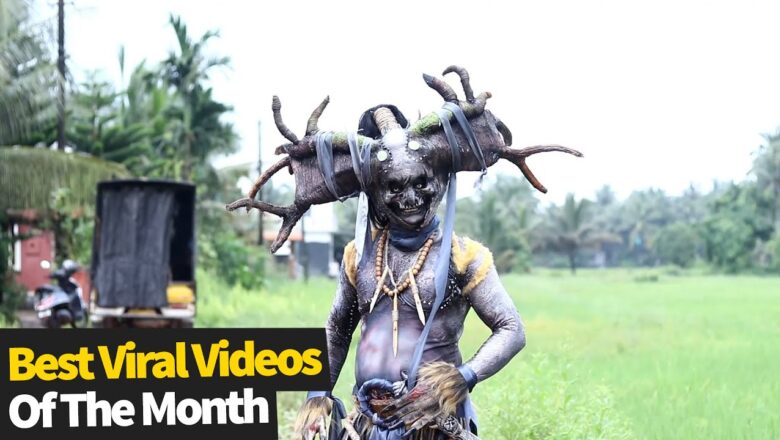 Top 20 Best Viral Videos Of The Month – August 2021