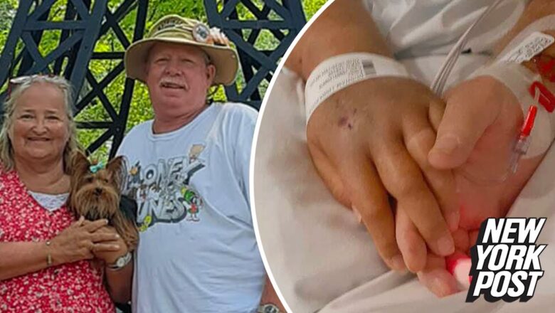 Vaccinated Michigan couple die of COVID-19 holding hands | New York Post