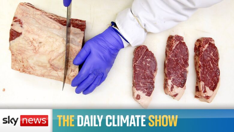 Watch the #DailyClimateShow live: Can Britain stomach artificial meat?