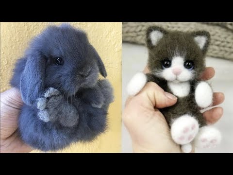 AWW SO CUTE! Cutest baby animals Videos Compilation Cute moment of the Animals – Cutest Animals #42