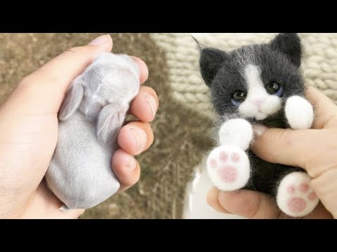 AWW SO CUTE! Cutest baby animals Videos Compilation Cute moment of the Animals – Cutest Animals #43