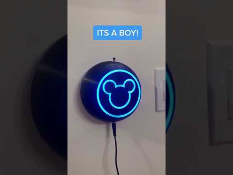 Family Goes Viral for Very Disney Gender Reveal | What’s Trending in Seconds | #Shorts