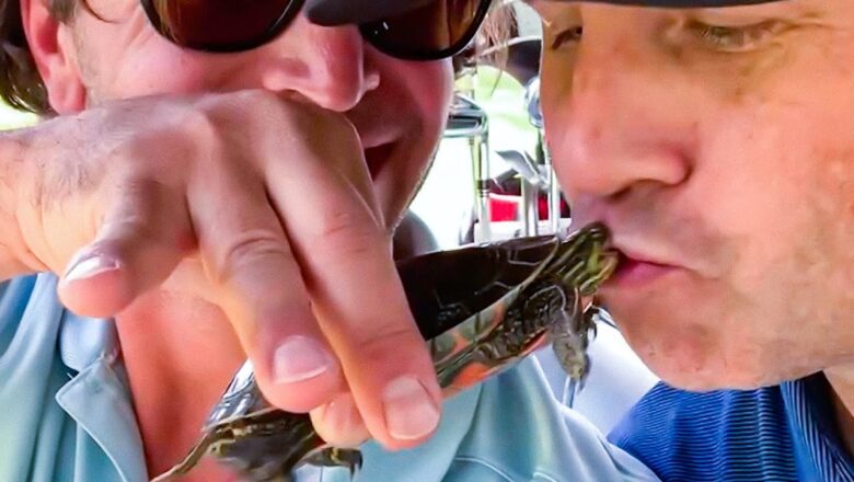 Turtle Bites Man’s Lips | Best Of The Week