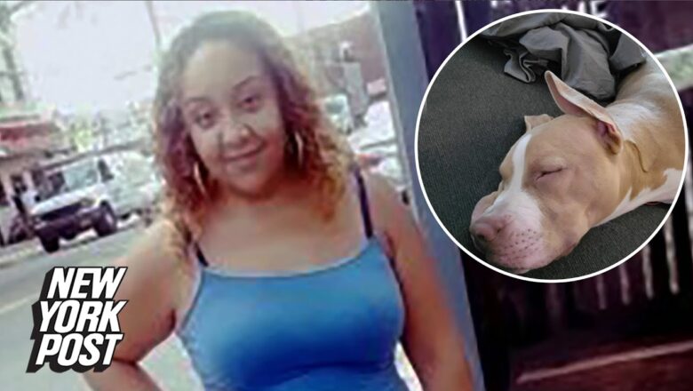 Woman shot with dog in NYC may have been innocent victim | New York Post