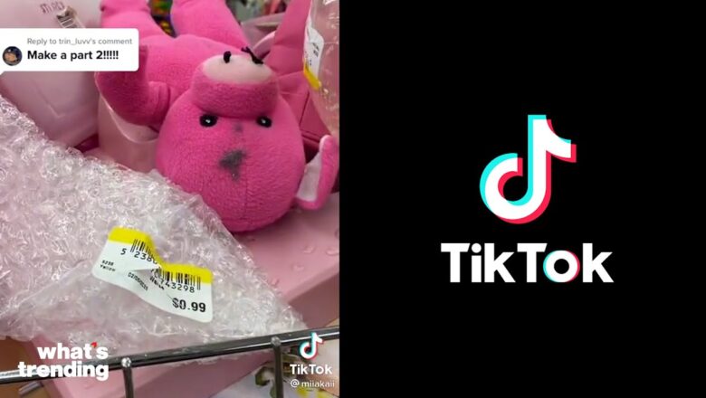 Goodwill Exposed for Selling Garbage in Viral TikTok  | What’s Trending Explained