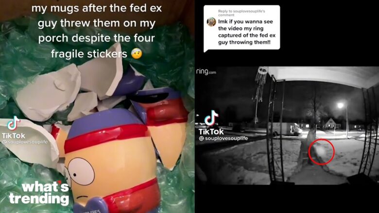 TikTok Wants This FedEx Driver Fired Over Viral Video  | What’s Trending Explained