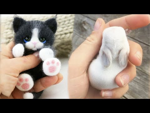 AWW SO CUTE! Cutest baby animals Videos Compilation Cute moment of the Animals – Cutest Animals #58