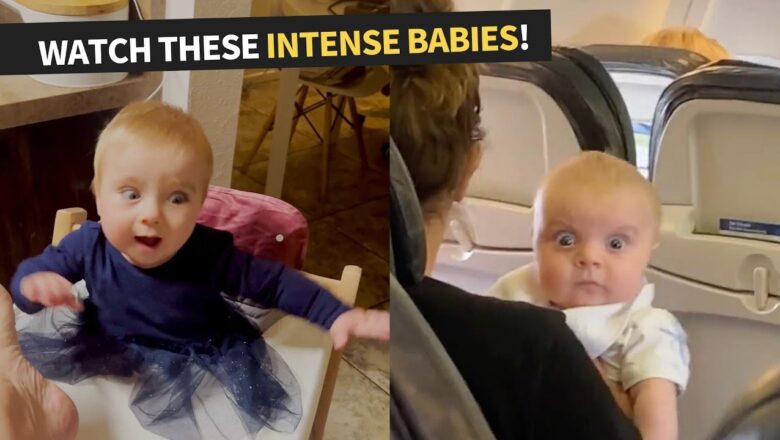 Top 13 Funniest Baby Moments Compilation