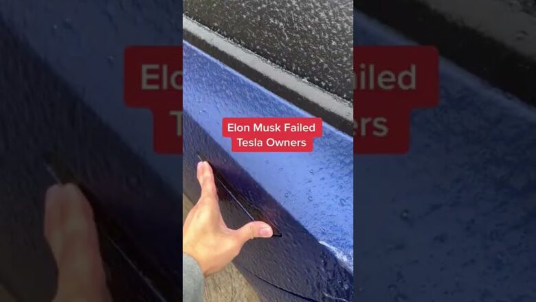 Viral Video Shows Design Flaws With Tesla In Cold Weather | What’s Trending In Seconds | #Shorts