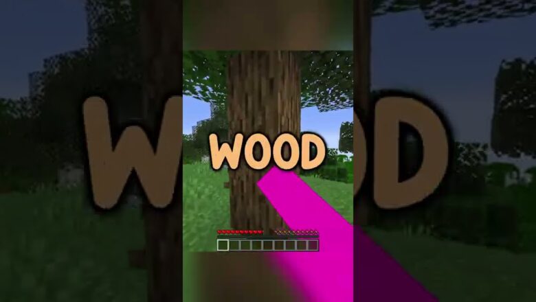 what if minecraft didn’t have wood…