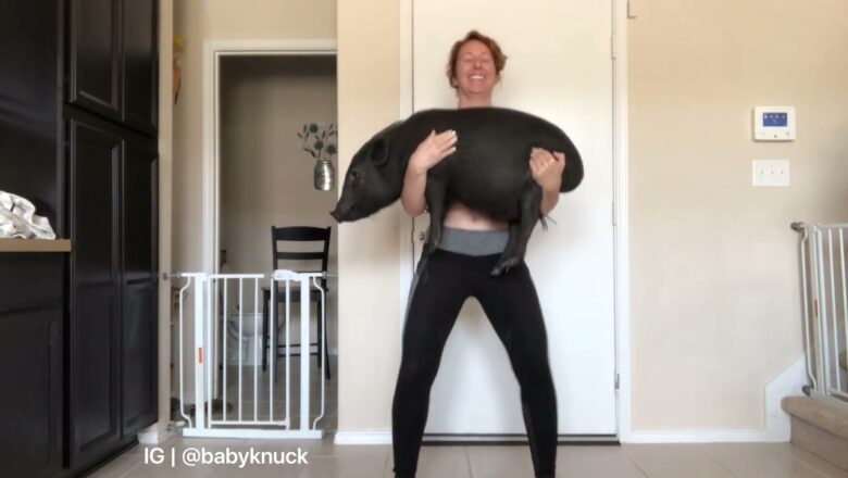 Woman completes squatting challenge with a twist – she uses her pig!