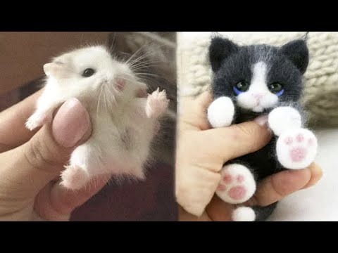 AWW SO CUTE! Cutest baby animals Videos Compilation Cute moment of the Animals – Cutest Animals #65