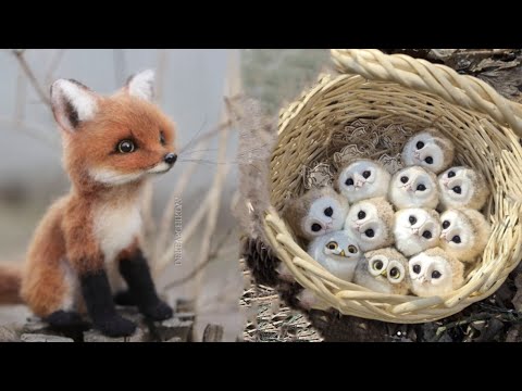 AWW SO CUTE! Cutest baby animals Videos Compilation Cute moment of the Animals – Cutest Animals #66
