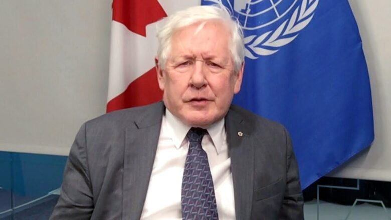 Bob Rae on the use of veto power on the UN Security Council