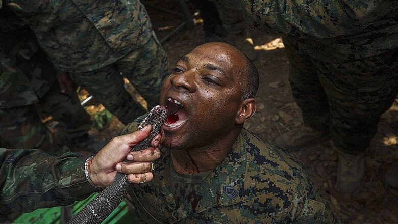 Craziest Military Training Exercises