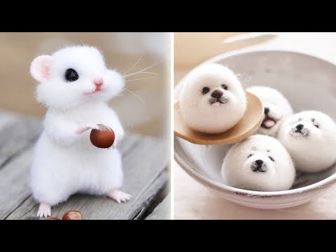 Cute baby animals Videos Compilation cute moment of the animals – Cutest Animals #1