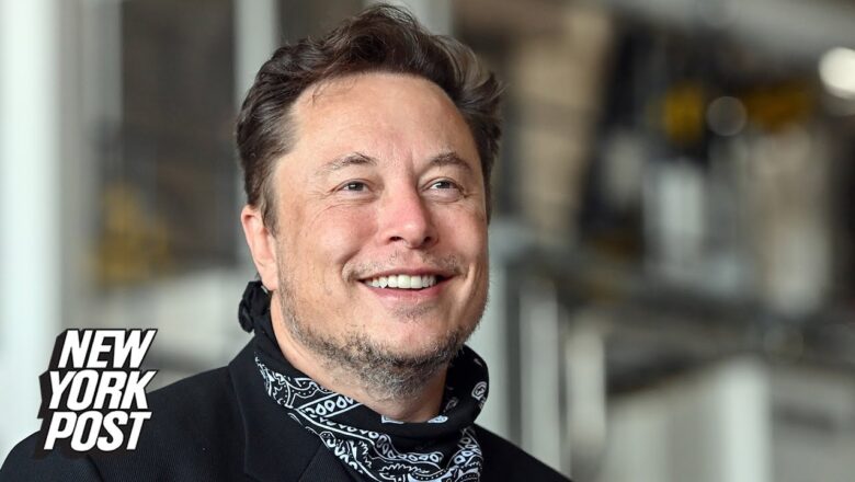 Is Elon Musk a Conservative or a Liberal? | New York Post