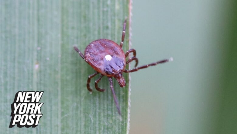 New reason to fear ticks | New York Post