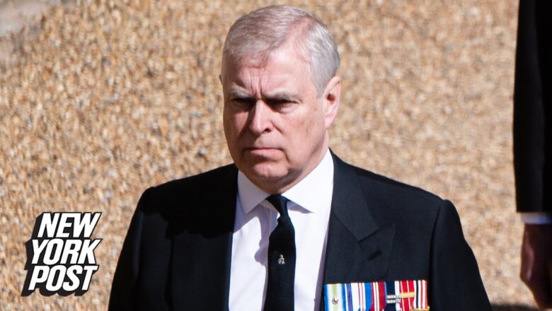 Prince Andrew allegedly once snubbed VIP host for two-day porn binge | New York Post