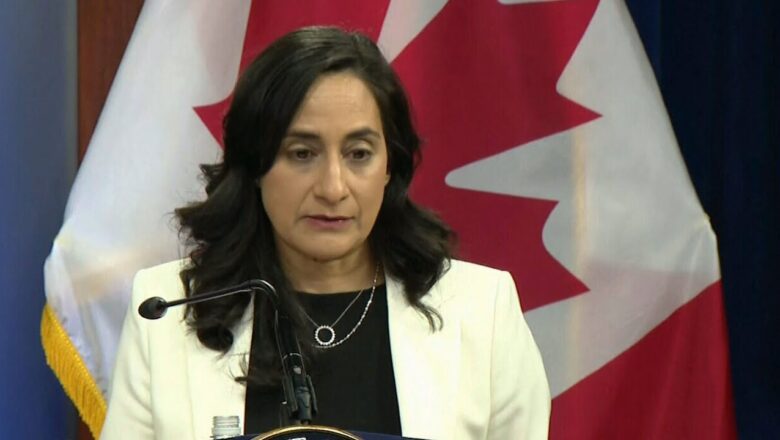 ‘Russia is testing the will of Canada’: Defense Minister Anita Anand on Ukraine war