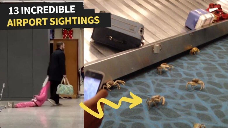 Weird Sightings At The Airport That Will Make You Laugh