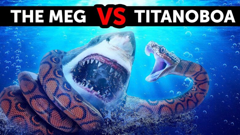 What If Megalodon Met the Biggest Snake Ever