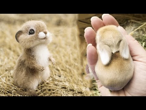 Cute baby animals Videos Compilation cute moment of the animals – Cutest Animals #3